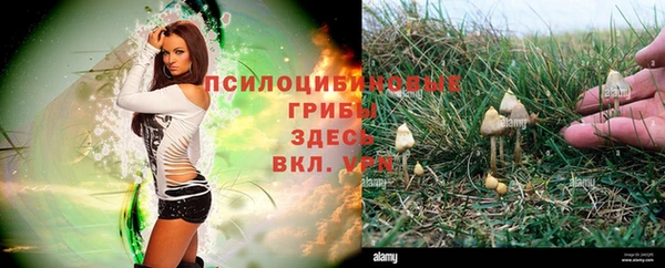 дмт Алексин