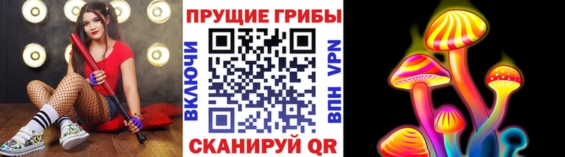 Псилоцибиновые грибы мицелий  Жуков 
